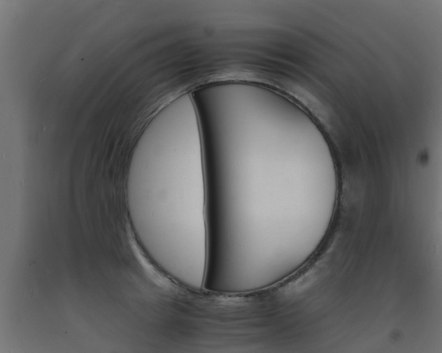 X0000093570849200710151015