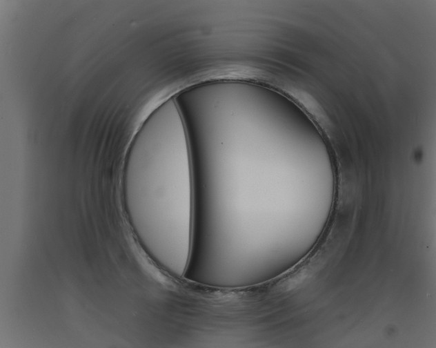 X0000093570850200710151015