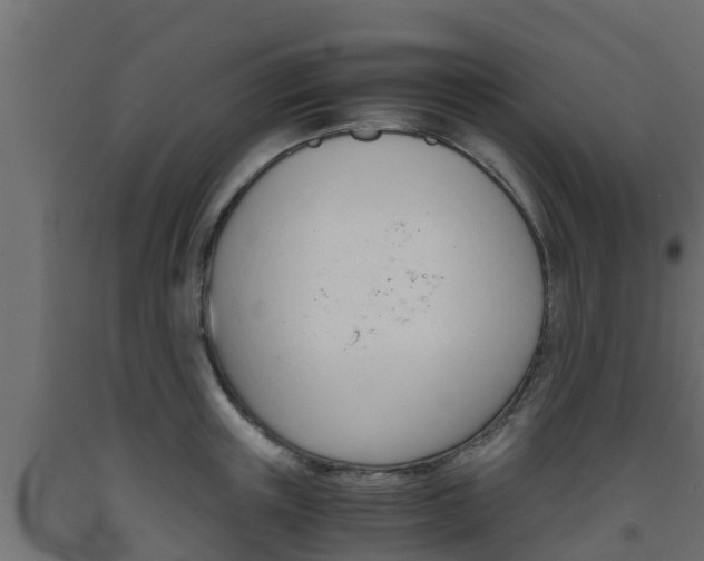 X0000093570851200710151015