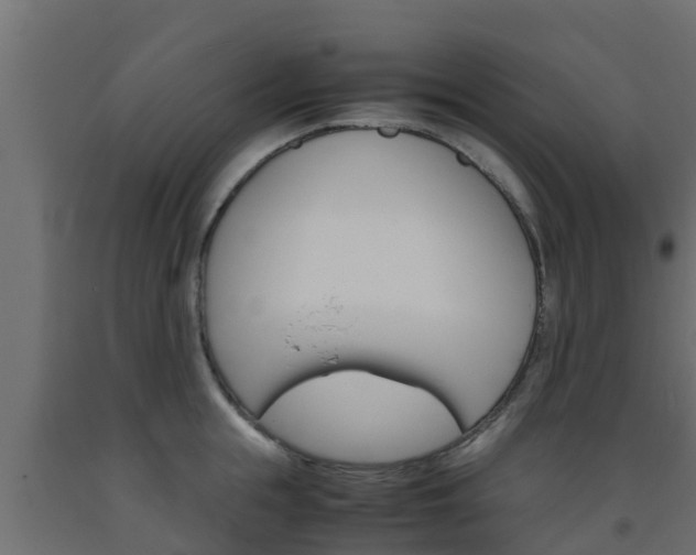 X0000093570855200710151015