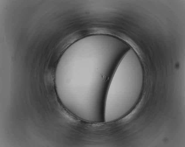 X0000093570857200710151015