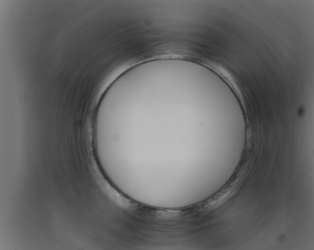 X0000093570859200710151015