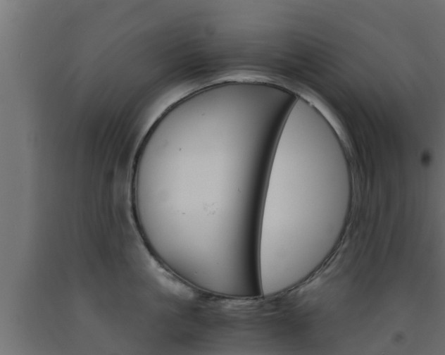 X0000093570861200710151015