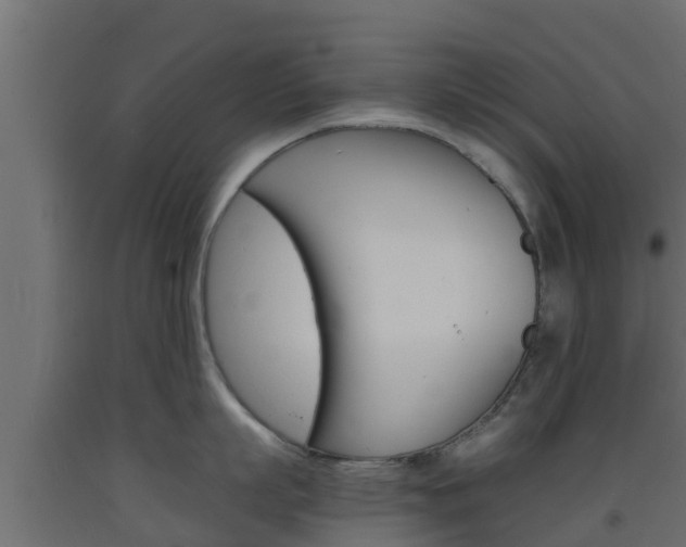 X0000093570863200710151015