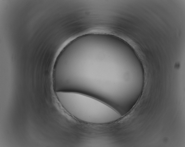 X0000093570864200710151015