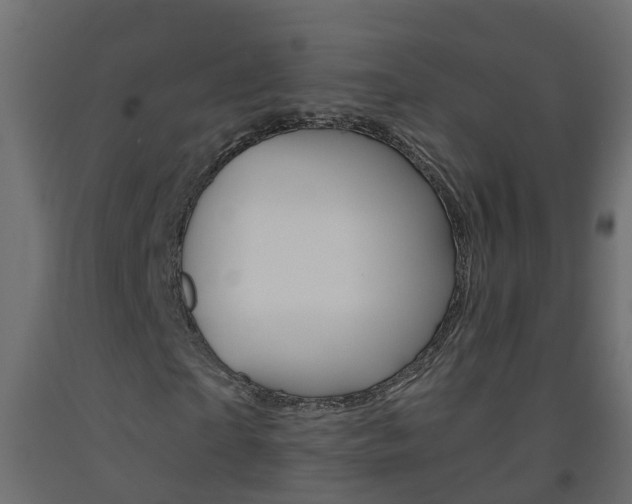 X0000093570865200710151014