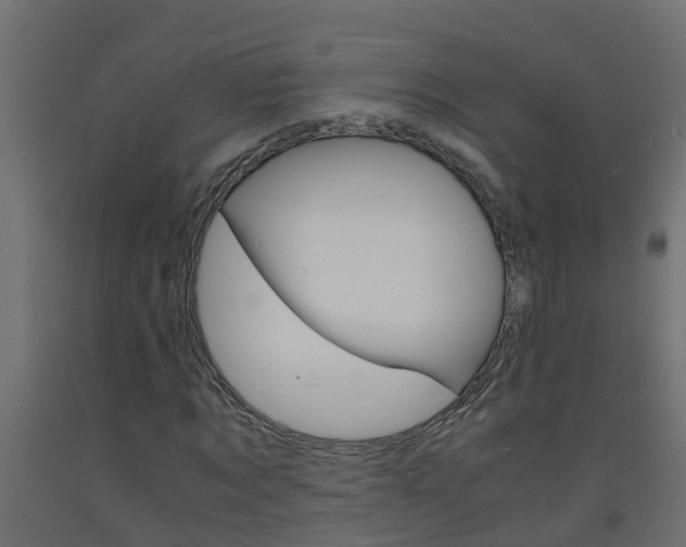 X0000093570869200710151014