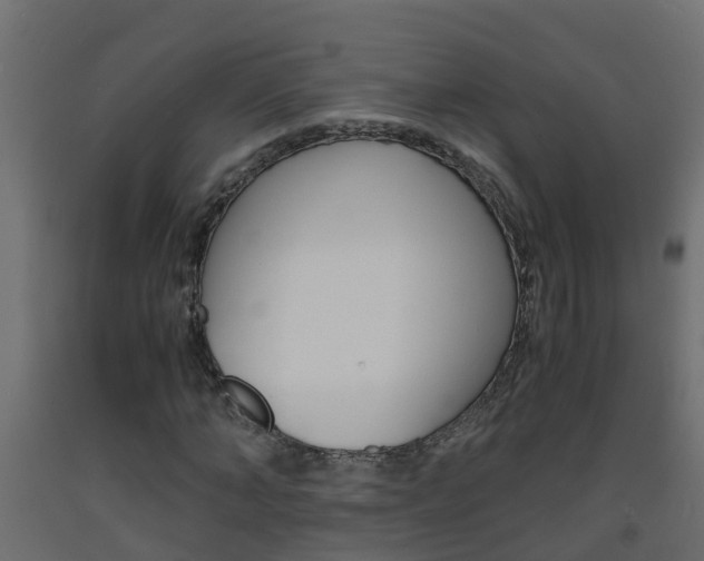 X0000093570870200710151014
