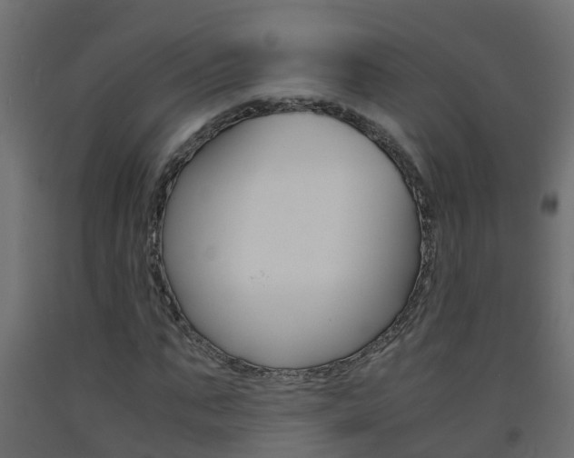 X0000093570871200710151014