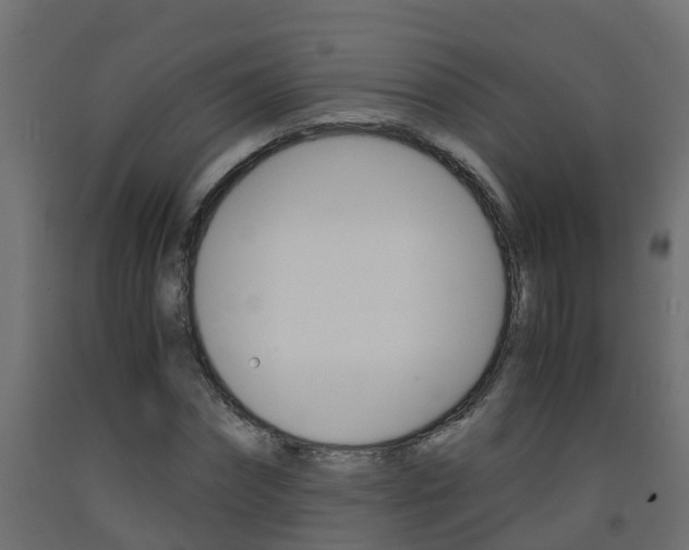 X0000093570874200710151014