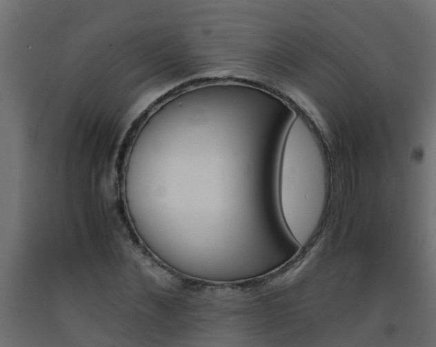 X0000093570876200710151014