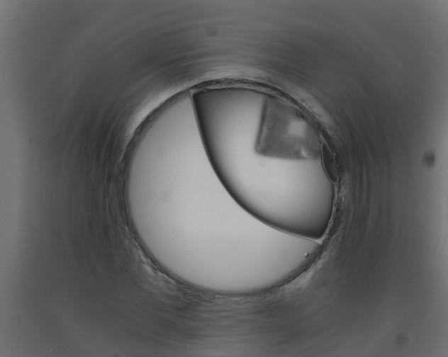 X0000093570877200710151014