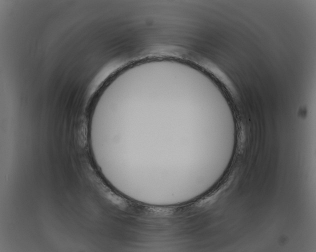 X0000093570878200710151014