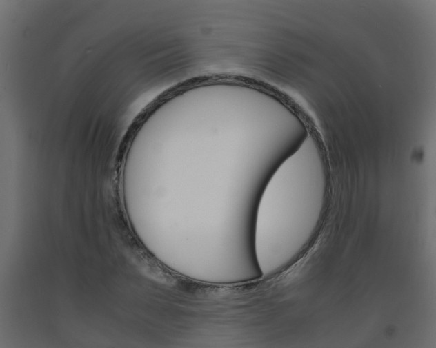X0000093570879200710151014