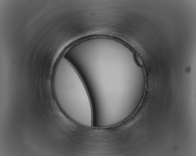 X0000093570880200710151014