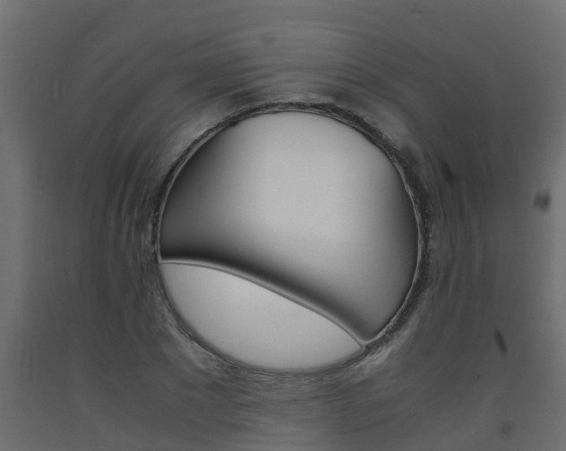 X0000093570881200710151014