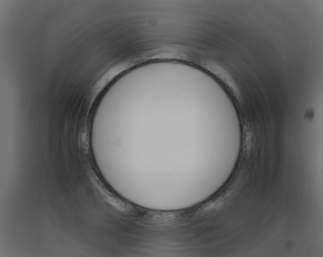 X0000093570882200710151014
