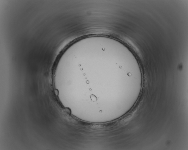 X0000093570883200710151014