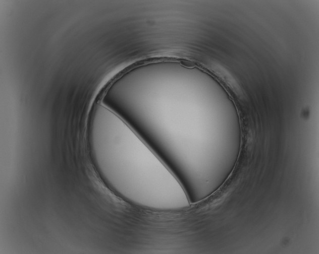 X0000093570884200710151014
