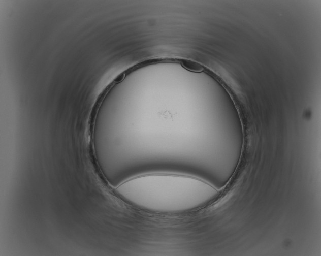 X0000093570885200710151014