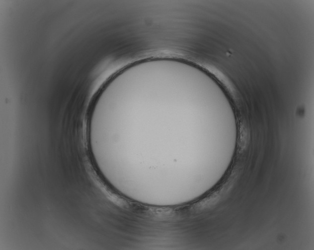 X0000093570886200710151014