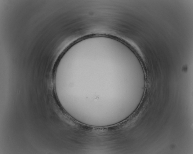 X0000093570887200710151014