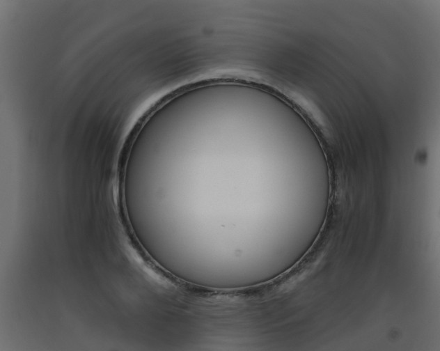 X0000093570888200710151014