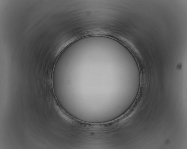 X0000093570889200710151014