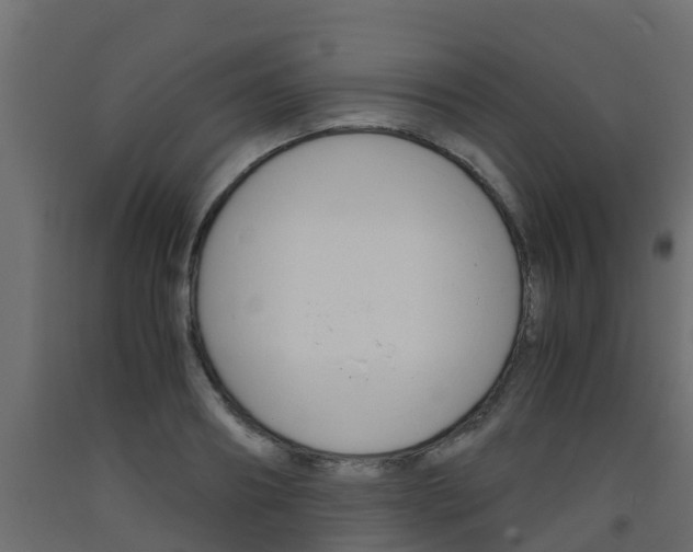 X0000093570890200710151014