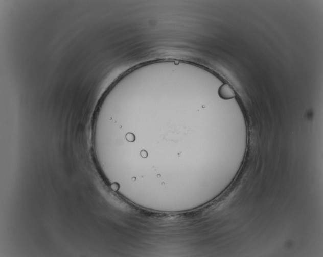 X0000093570891200710151014