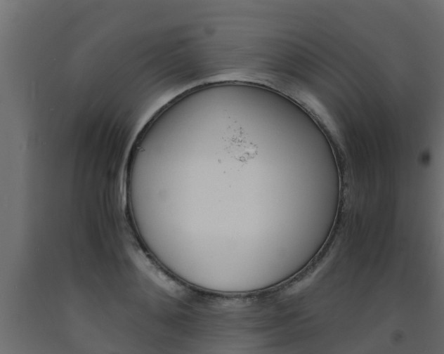 X0000093570892200710151014