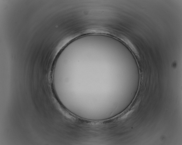 X0000093570893200710151014