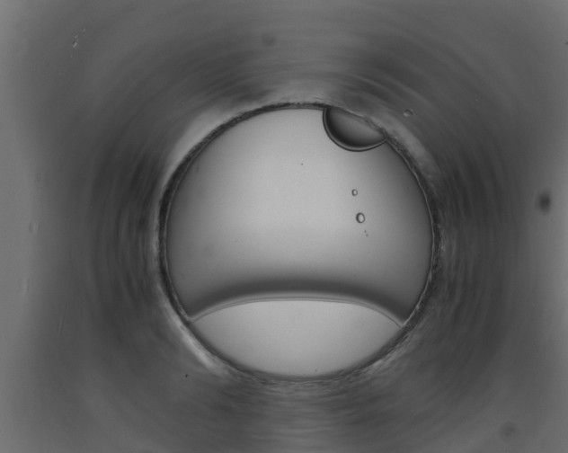 X0000093570894200710151014
