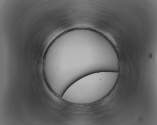 X0000093570895200710151014