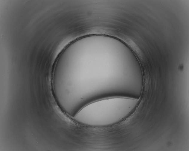 X0000093570896200710151014