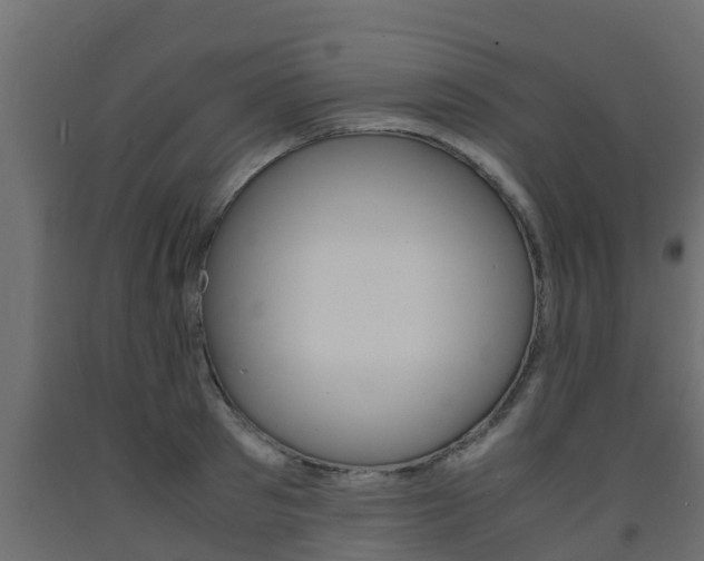 X0000093570897200710151014
