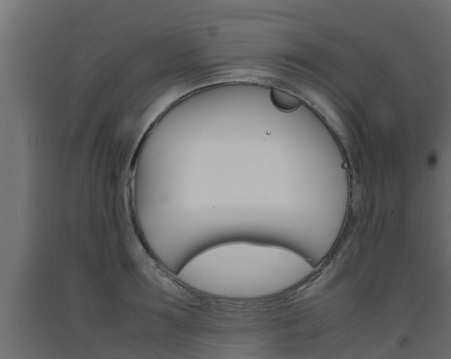 X0000093570899200710151014