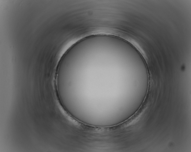 X0000093570901200710151014