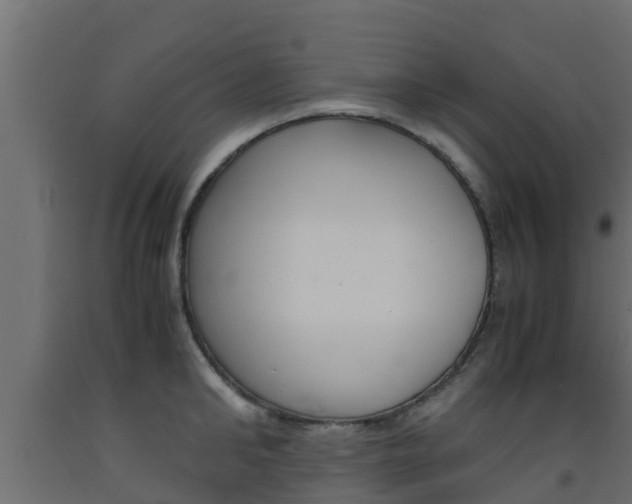 X0000093570902200710151014