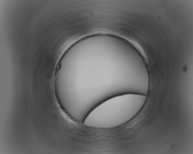 X0000093570903200710151014