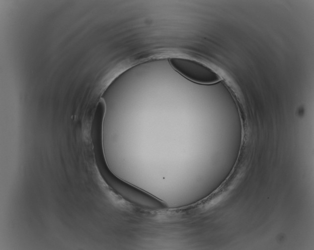 X0000093570905200710151014