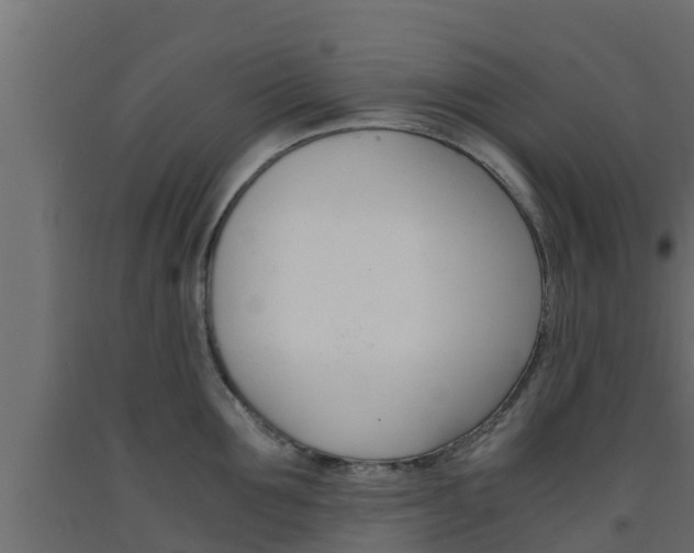 X0000093570907200710151014