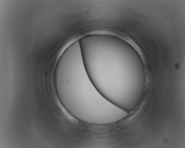 X0000093570909200710151014