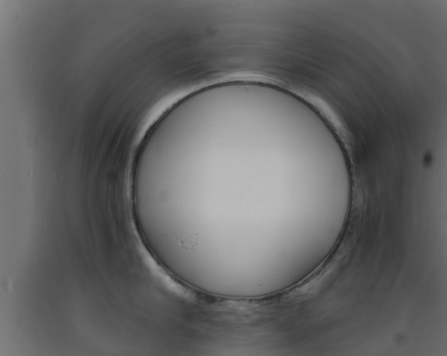 X0000093570910200710151014