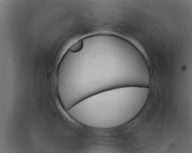 X0000093570911200710151014