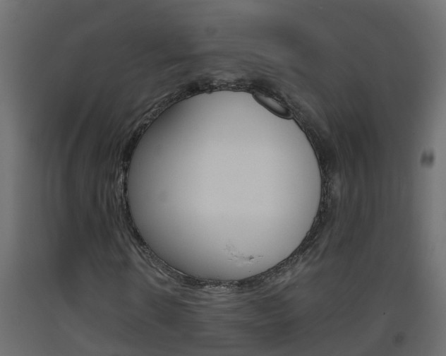 X0000093570914200710151013