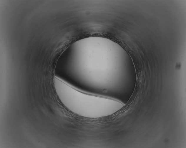 X0000093570916200710151013