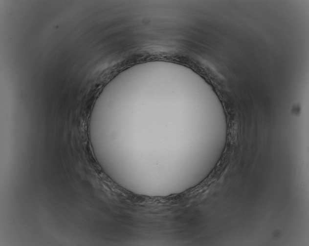 X0000093570917200710151013