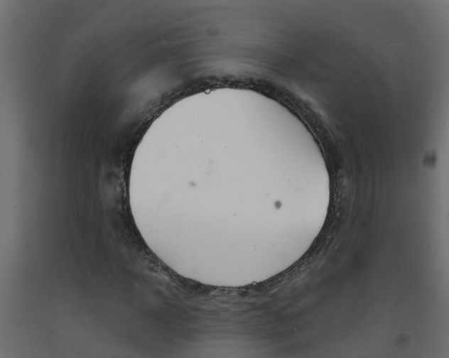 X0000093570918200710151013