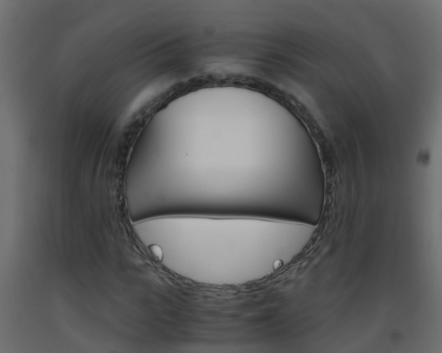 X0000093570919200710151013